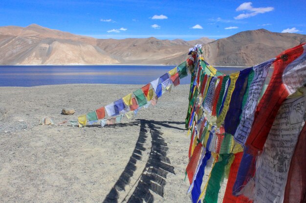 Panoramic shot of clothes drying on clothesline