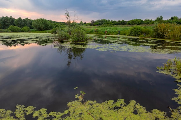 Panoramic shot of dawn in a swamp with sky reflection..