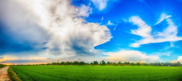 Panoramic shot of field against sky