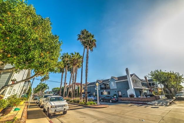 Panoramic shot of palm trees and buildings against blue sky