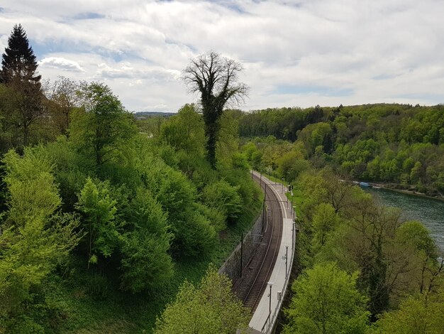 Panoramic shot of road amidst trees against sky