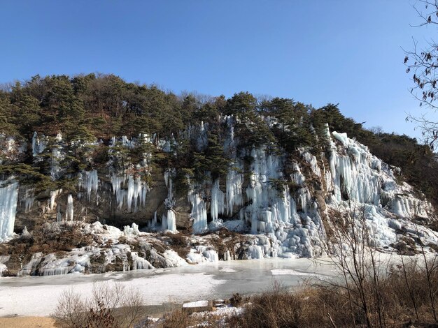 Panoramic shot of trees against sky during winter