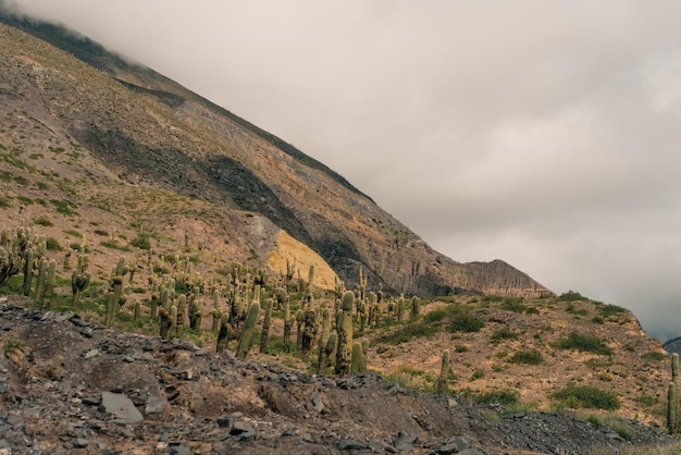 Panoramic sided view of the little town of Maimara Jujuy Argentina