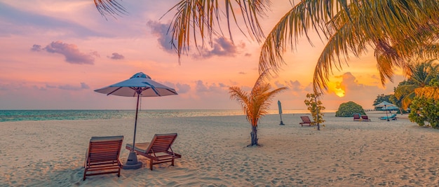 Panoramic summer vacation holiday banner. Resort shore, palm leaves sunset sea