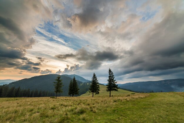 Panoramic summer view, green grassy valley on distant woody mountains under cloudy sky.