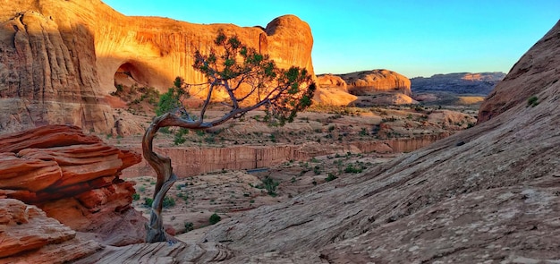 Panoramic sunset view  in Arches national park with the canyon in the background