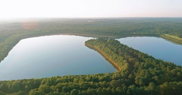 Panoramic top view of landscape with morning fog over the lake near the forest