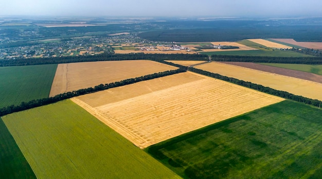 Panoramic top view wheat field different agricultural fields