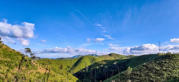 Panoramic view of agricultural field against sky