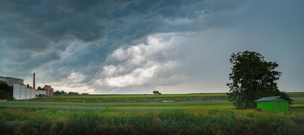 Panoramic view of Alone tree in a field and a garage under a sky with clouds before a storm on a summer outside the city in the field