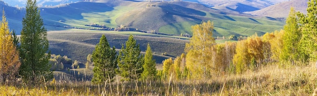 Panoramic view of autumn nature rural landscape