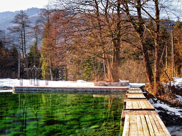 Панорамный вид на осенний или зимний пейзаж с озером, деревьями и старым мостом