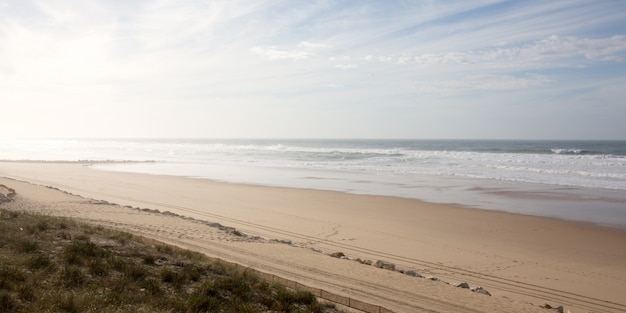 Panoramic view of a beach in the spring