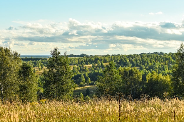 Vista panoramica del bellissimo campo