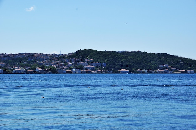 Panoramic view of the bosphorus. view of the calm waters of the strait and the coastline with houses