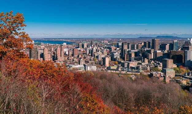 Panoramic view of buildings against blue sky