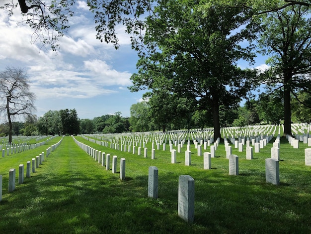 Photo panoramic view of cemetery against sky