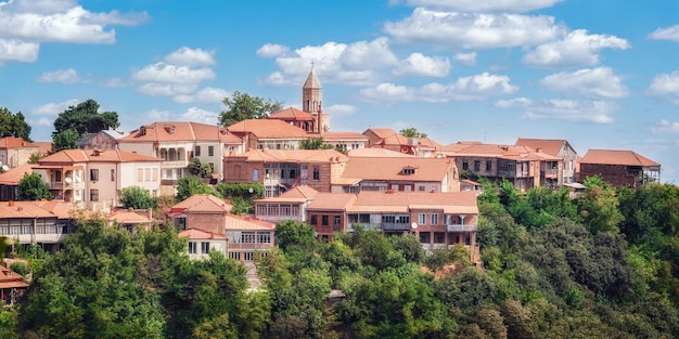 Foto vista panoramica della città di sighnaghi georgia