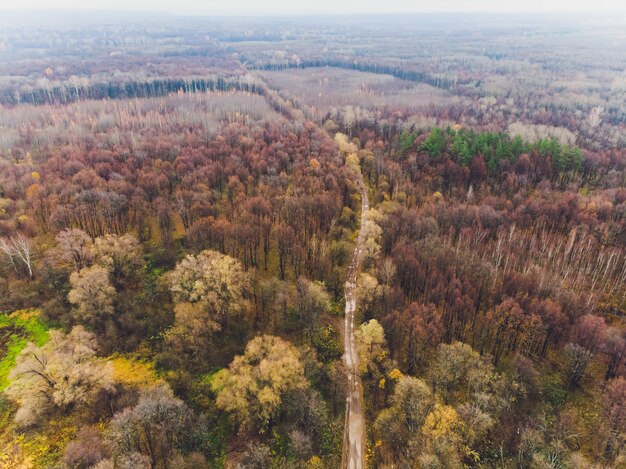 Панорамный вид на поврежденный ландшафт