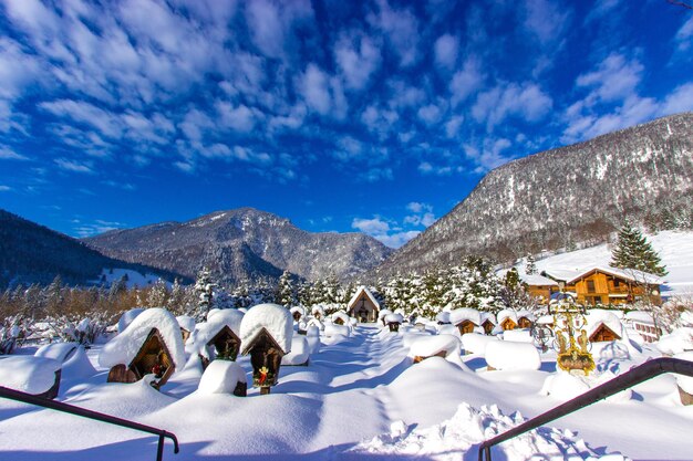 Panoramic view of dog on snowcapped mountain against sky