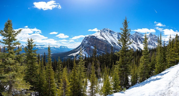 A panoramic view of fairview mountain from the hiking trail below lake agnes
