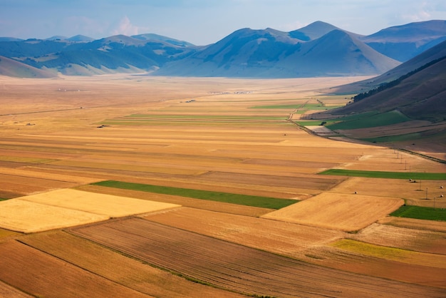 Panoramic view of farming and agricultural fields