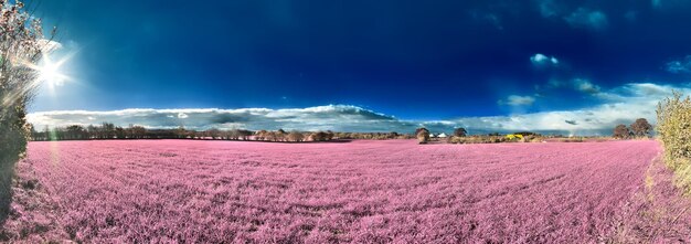 Photo panoramic view of field against sky