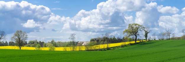 Panoramic view of field against sky