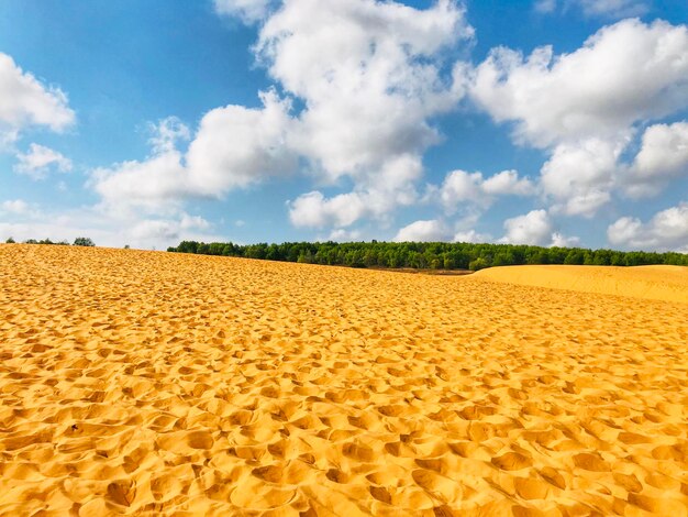 Foto vista panoramica del campo contro il cielo