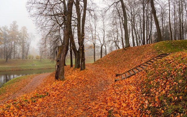 Vista panoramica del nebbioso parco autunnale scale in un parco coperto di foglie autunnali