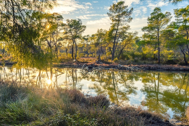 Photo panoramic view from divjaka karavasta national park in albania