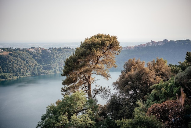 Панорамный вид с холма с видом на каменные сосны и вулканическое озеро неми в италии