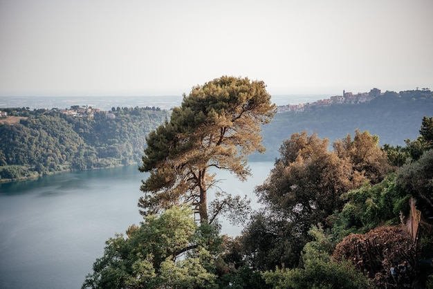 Panoramic view from the hill overlooking the stone pine trees and the volcanik nemi lake in italy