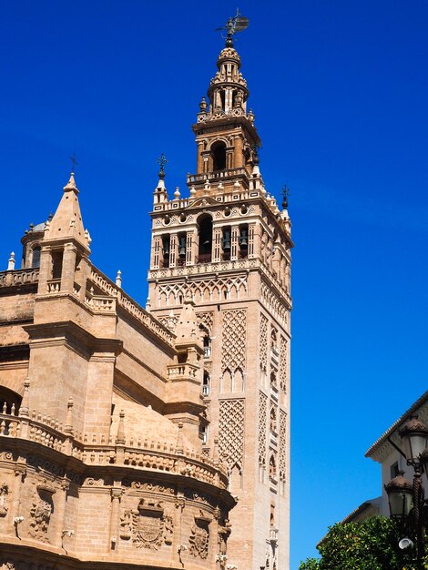 Panoramic view of the giralda in seville