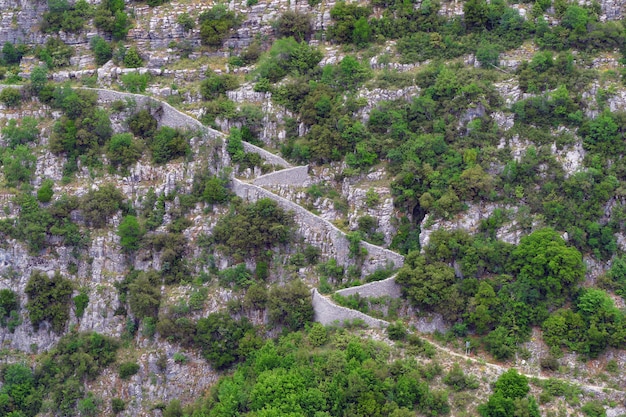 ギリシャのヴィコスAoos国立公園の峡谷のパノラマビュー