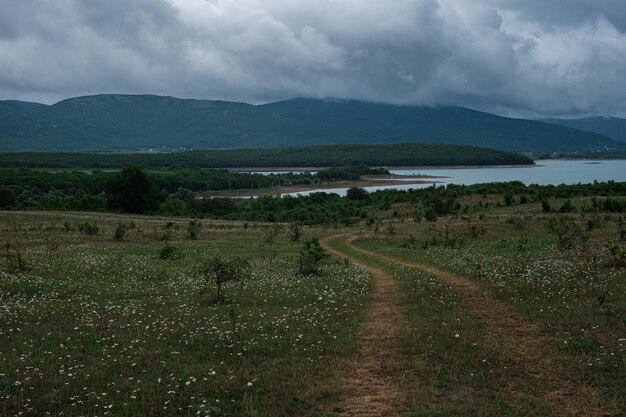 Panoramic view of green fields and trees and small dirt road