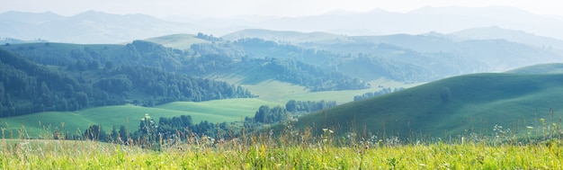 Panoramic view of green summer hills in the evening haze