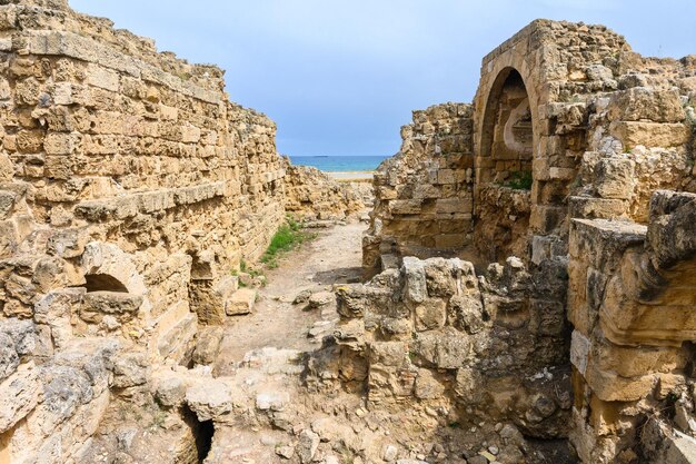 Photo panoramic view of the gymnasium at the ancient roman city of salamis near famagusta northern cyprus