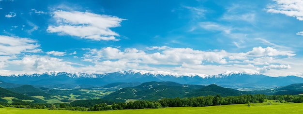 Панорамный вид на идиллические горные пейзажи в Альпах с свежими зелеными лугами в цветении в красивый солнечный весенний день
