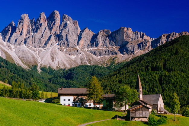 Vista panoramica dell'estate idilliaca