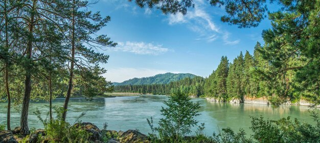 Panoramic view of the Katun river in the Altai mountains on a sunny day