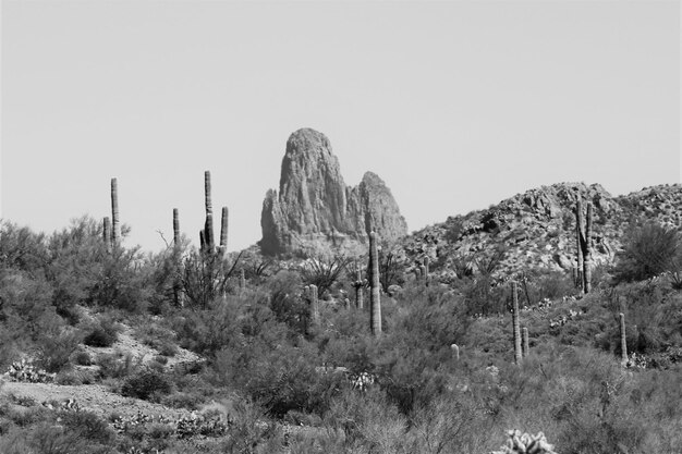 Photo panoramic view of landscape against clear sky