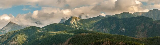 Панорамный вид на пейзаж на фоне неба