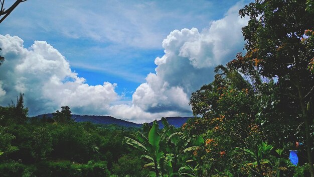 Panoramic view of landscape against sky