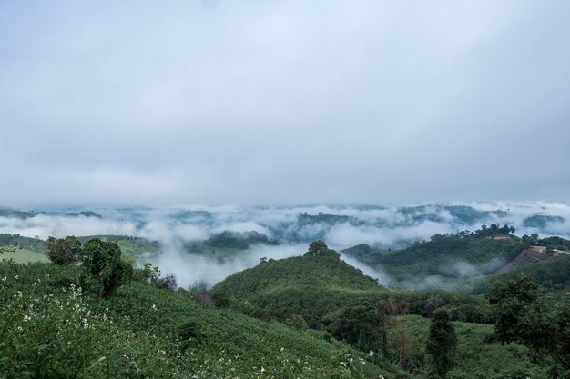 Panoramic view of landscape against sky