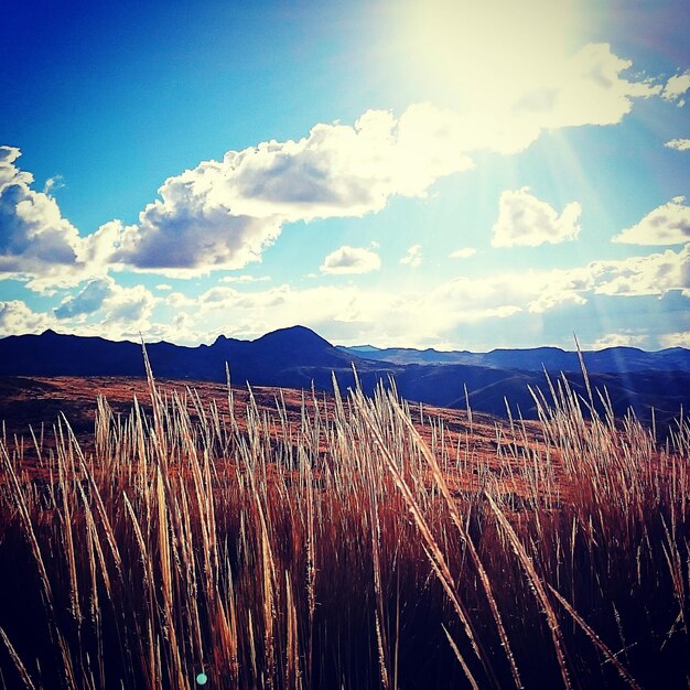 Panoramic view of landscape against sky