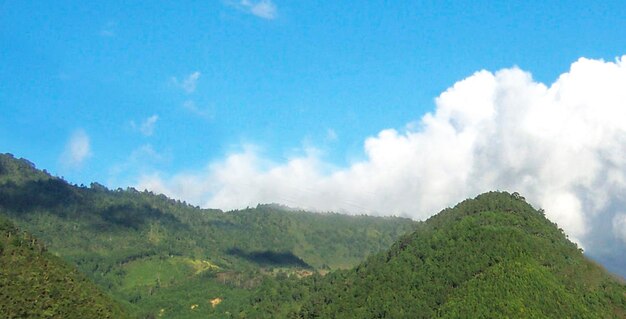 Panoramic view of landscape against sky