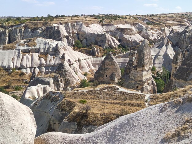 Panoramic view of landscape