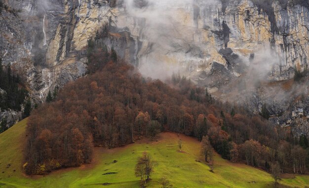 Photo panoramic view of landscape