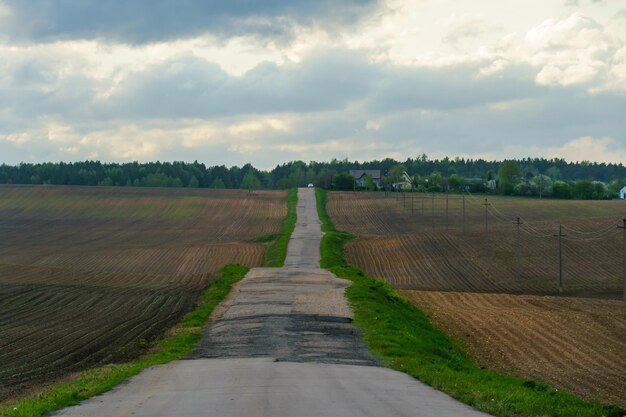 丘陵地帯の長い空のアスファルト道路のパノラマ ビュー空の曲がりくねった道は地平線を越えて遠くまで行く